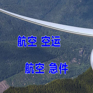 浪头机场托运快递-选东方航空和上海航空