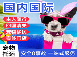 浪头机场托运国际宠物托运 【国